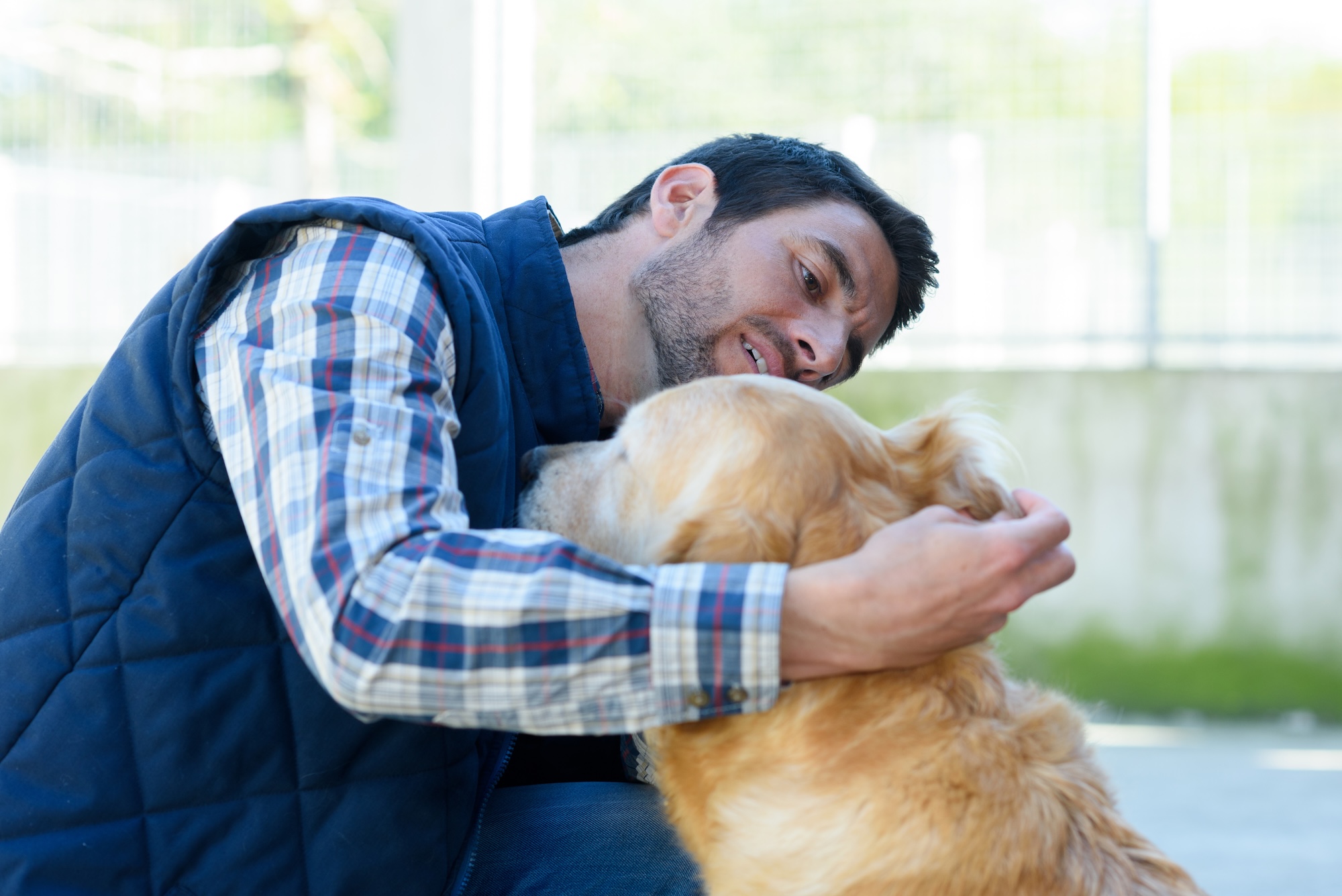 Man checking a dog's ear for ticks.