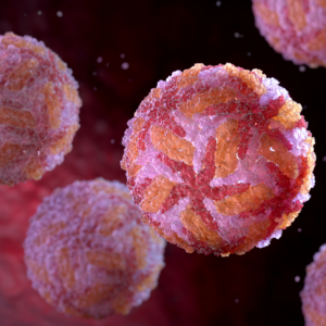 Close-up illustration of Powassan virus particles.